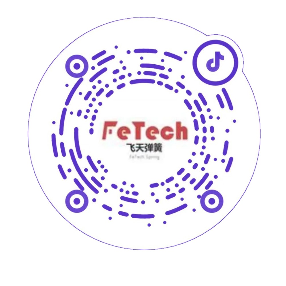 FeTech 飞天弹簧抖音二维码